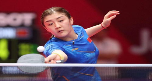 不断培养新 不断培养新